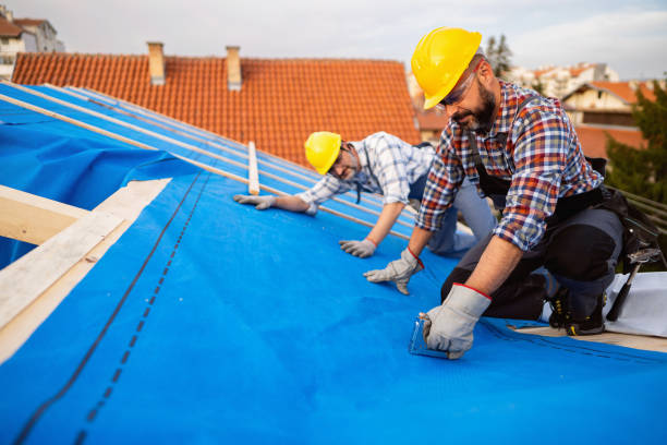 Roof Moss and Algae Removal in Sugarcreek, OH